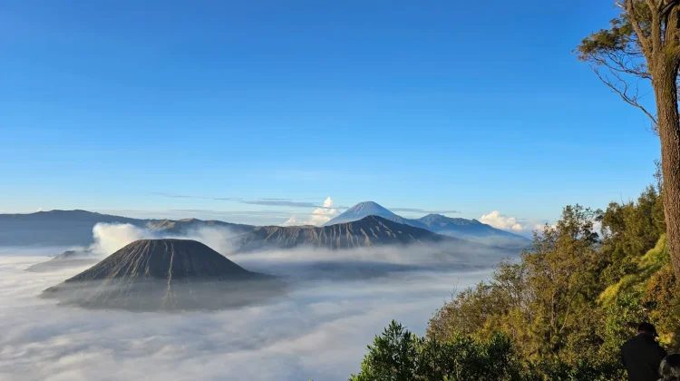 Pesona Pagi Gunung Bromo