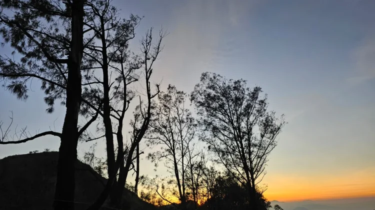 Pesona Pagi Gunung Bromo