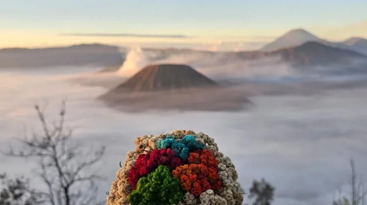 Pesona Pagi Gunung Bromo