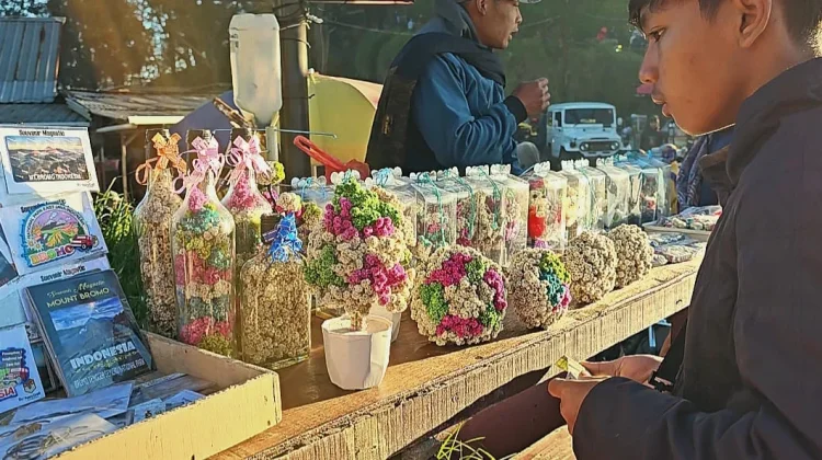 Pesona Pagi Gunung Bromo