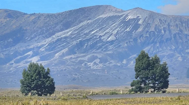 Pesona Pagi Gunung Bromo