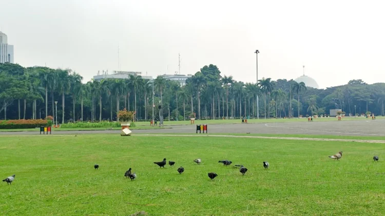 Monas Jadi Pilihan Wisata Masyarakat saat Libur Panjang Kenaikan Yesus Kristus