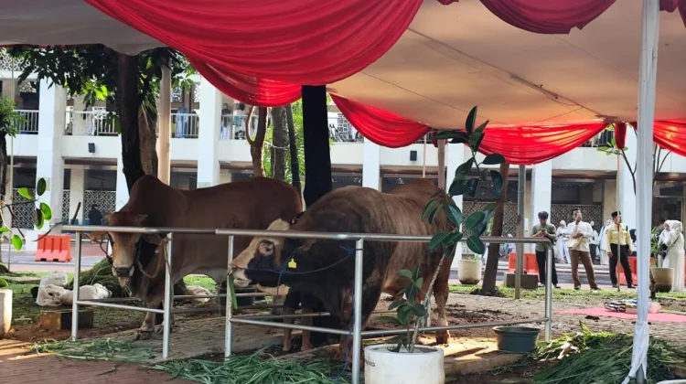 Suasana Masjid Istiqlal saat Salat Iduladha 1447 Hijriah