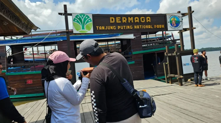 Taman Nasional Tanjung Puting, Wisata Seru Berjumpa Orangutan