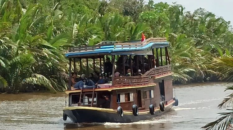 Taman Nasional Tanjung Puting, Wisata Seru Berjumpa Orangutan
