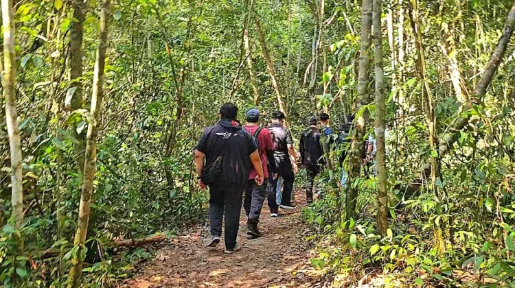 Taman Nasional Tanjung Puting, Wisata Seru Berjumpa Orangutan
