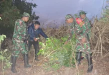 Satgas TNI Gagalkan Penyelundupan 200 Kilogram Beras dari Timor Leste