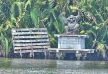 Taman Nasional Tanjung Puting, Wisata Seru Berjumpa Orangutan