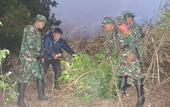 Satgas TNI Gagalkan Penyelundupan 200 Kilogram Beras dari Timor Leste