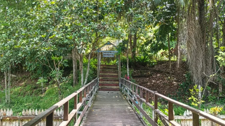 Museum Kayu, Harmoni Alam dan Budaya di Tenggarong