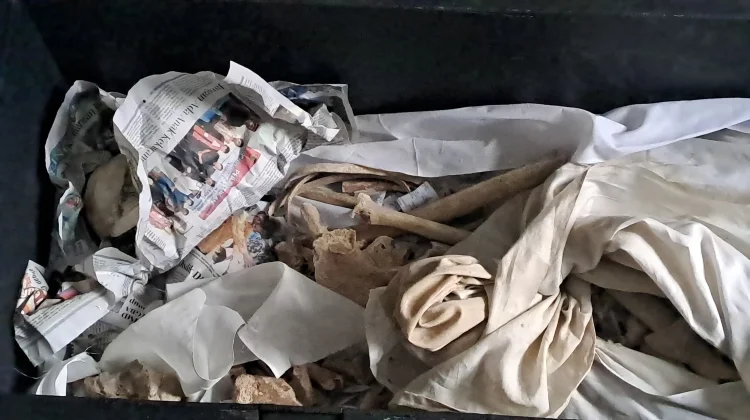 Tengkorak Manusia hingga Tulang Belulang, Intip Koleksi Cagar Budaya BPK Kaltim
