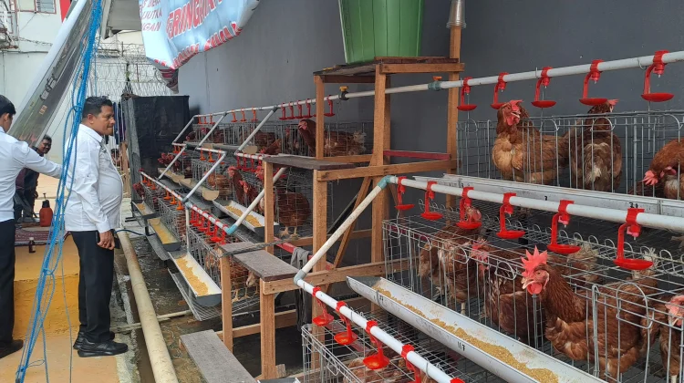 Hasil Budidaya Sayur hingga Ternak Lele Warga Binaan Lapas Kelas IIA Samarinda