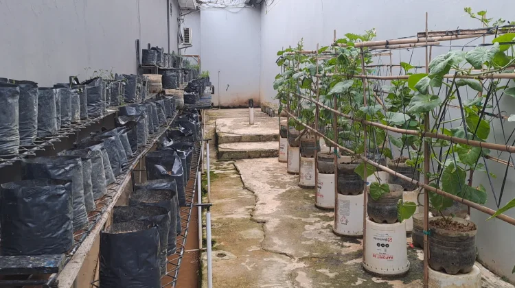 Hasil Budidaya Sayur hingga Ternak Lele Warga Binaan Lapas Kelas IIA Samarinda