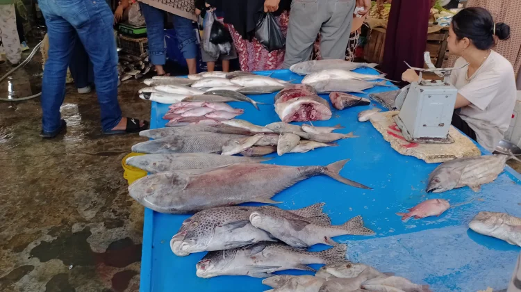 Situasi Pasar Tungging Samarinda Seberang Viral di Media Sosial Dipadati Pembeli