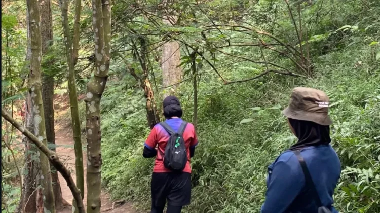 Menikmati Alam lewat Hobi Mendaki Gunung