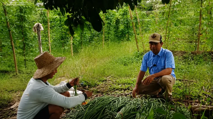 Petani Milenial Palaran Dinilai Strategis Jaga Pasokan Pangan Penyangga IKN