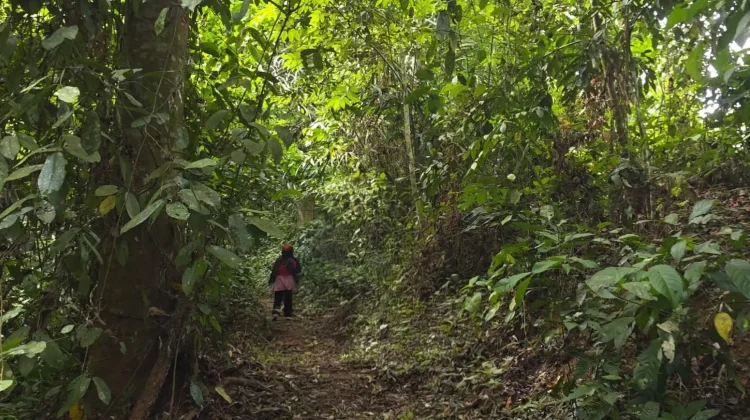 Menjelajah Goa Batu Gelap, Wisata Alam di Desa Sukamaju Tenggarong Seberang