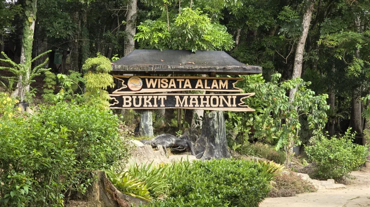 Bukit Mahoni, Destinasi Wisata Alam Sejuk di Tenggarong Seberang