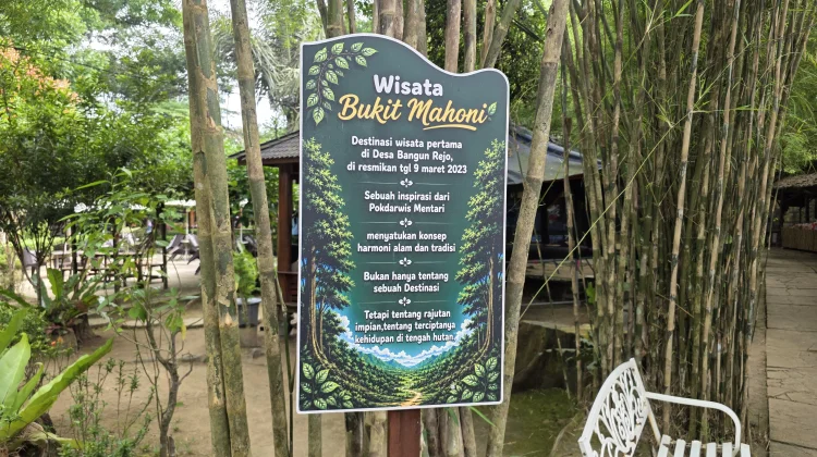 Bukit Mahoni, Destinasi Wisata Alam Sejuk di Tenggarong Seberang