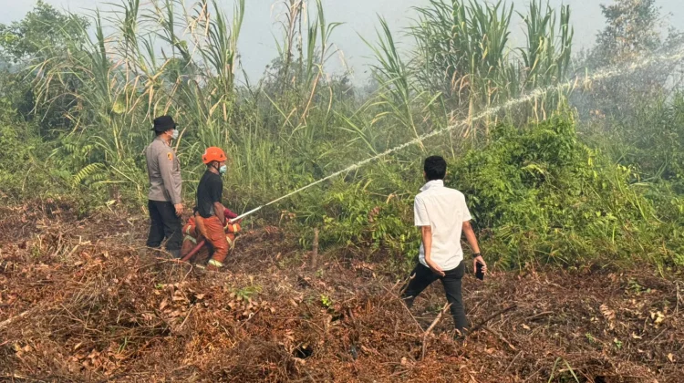 Pemadaman Api yang Hanguskan Tiga Hektare Lahan Bekas Sawah di Lempake
