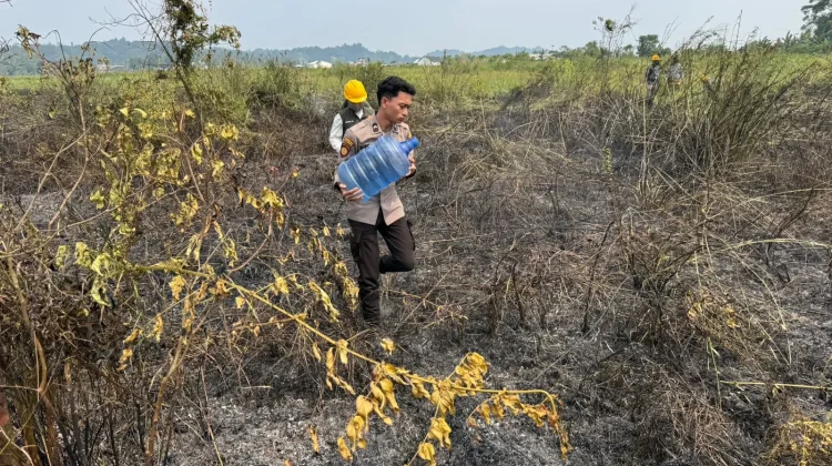 Pemadaman Api yang Hanguskan Tiga Hektare Lahan Bekas Sawah di Lempake