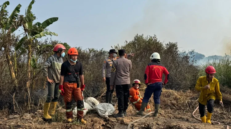 Pemadaman Api yang Hanguskan Tiga Hektare Lahan Bekas Sawah di Lempake