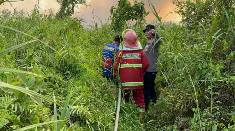 Pemadaman Api yang Hanguskan Tiga Hektare Lahan Bekas Sawah di Lempake