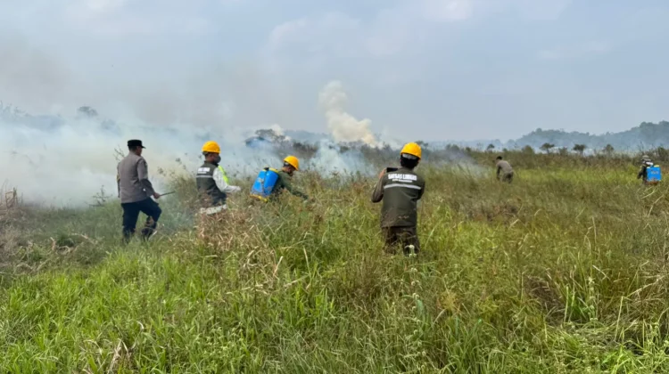 Pemadaman Api yang Hanguskan Tiga Hektare Lahan Bekas Sawah di Lempake