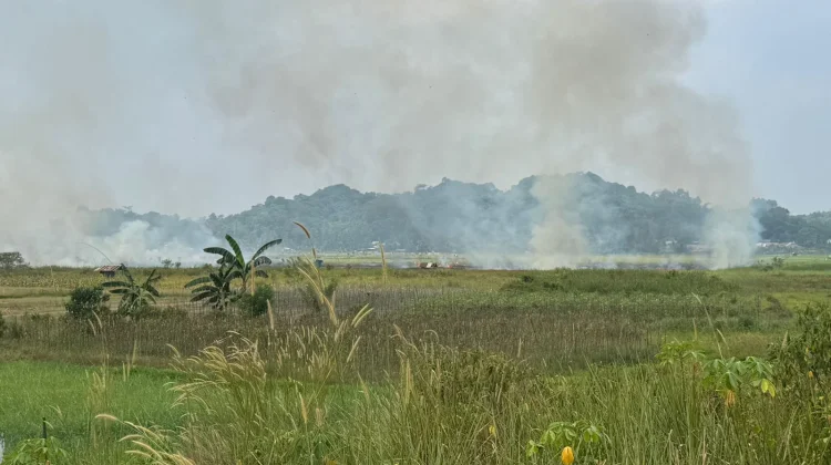 Pemadaman Api yang Hanguskan Tiga Hektare Lahan Bekas Sawah di Lempake