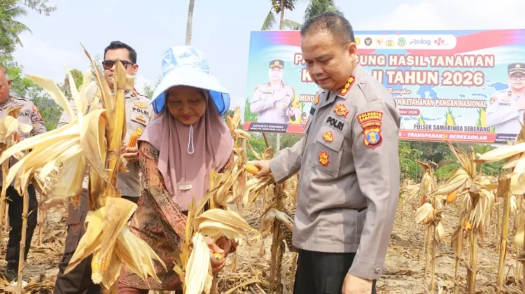 Polresta Samarinda Panen Satu Ton Jagung di Loa Janan Ilir