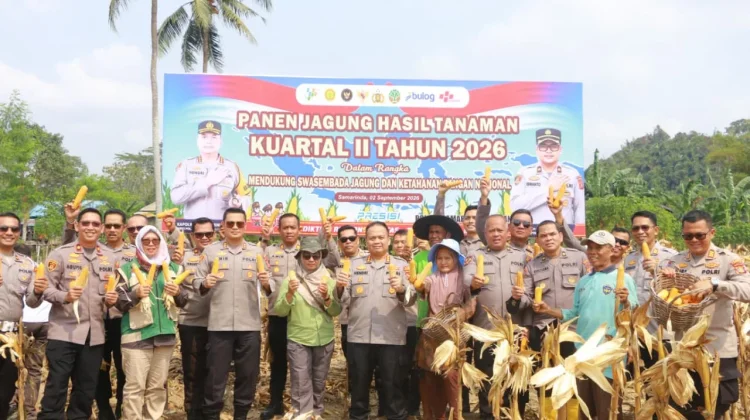 Polresta Samarinda Panen Satu Ton Jagung di Loa Janan Ilir