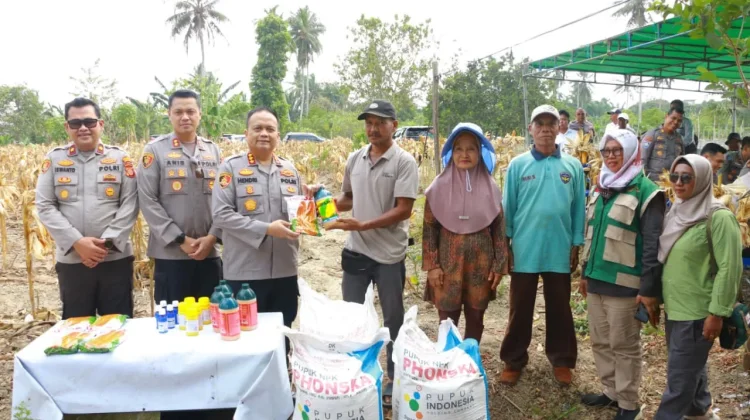 Polresta Samarinda Panen Satu Ton Jagung di Loa Janan Ilir