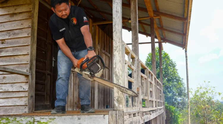 Otorita IKN Tertibkan Pendudukan Lahan di Tahura
