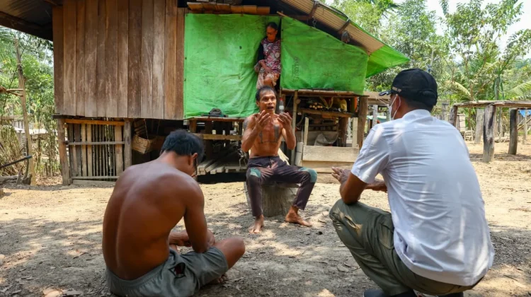 Otorita IKN Tertibkan Pendudukan Lahan di Tahura
