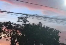 Senja Menguning Hiasi Langit Sore,Suguhkan Panorama Menenangkan
