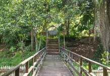 Museum Kayu, Harmoni Alam dan Budaya di Tenggarong