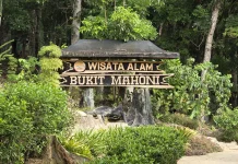 Bukit Mahoni, Destinasi Wisata Alam Sejuk di Tenggarong Seberang