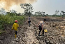 Pemadaman Api yang Hanguskan Tiga Hektare Lahan Bekas Sawah di Lempake