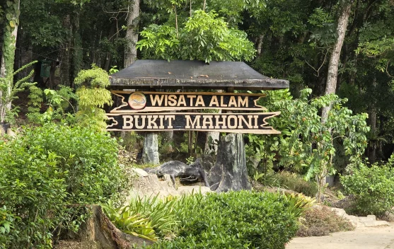 Bukit Mahoni, Destinasi Wisata Alam Sejuk di Tenggarong Seberang