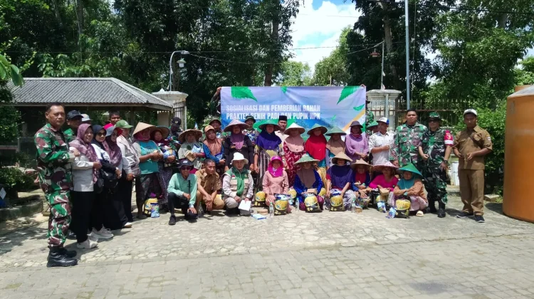 El Nino, Bangkalan Siap Tanam Padi Dukung Ketahanan Pangan