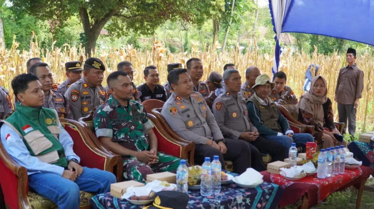 Potret Ketahanan Pangan Berkelanjutan di Pamekasan