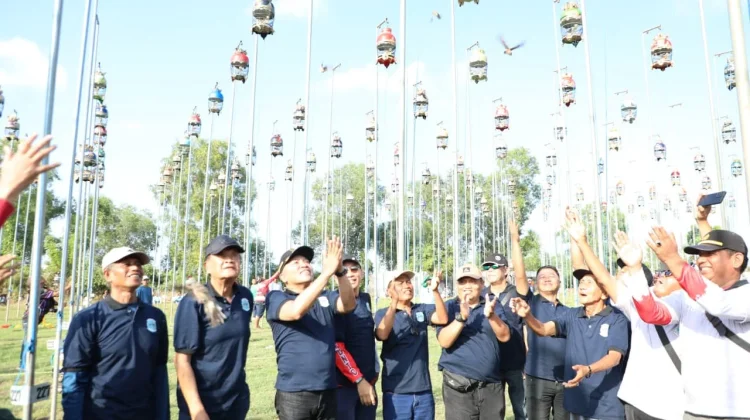 Liga Perkutut Indonesia di Sampang Berlangsung Meriah