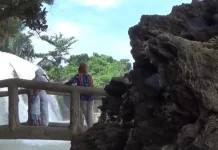 Menikmati Pesona Air Terjun Toroan Sampang