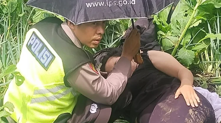 Rem Motor Blong, Wisatawan Nyungsep di Kebun Jalur Wisata Umbul Sidomukti