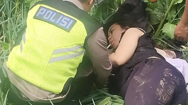 Rem Motor Blong, Wisatawan Nyungsep di Kebun Jalur Wisata Umbul Sidomukti