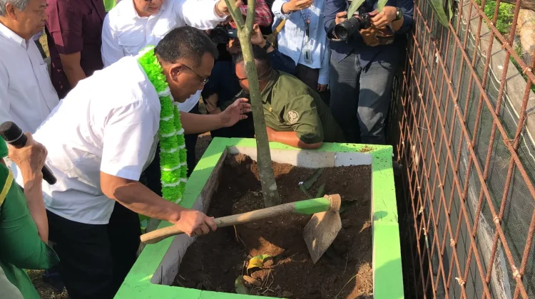 Menteri LH Apresiasi Bulusan Edu Park, Sampah Organik Jadi Contoh Ekonomi Sirkular