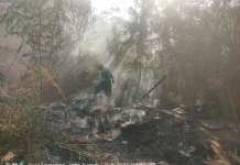 Kebakaran Lahan Kosong Semarang, Ulah Warga Bakar Sampah