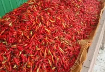 Harga cabai tembus Rp80 ribu jelang Ramadan