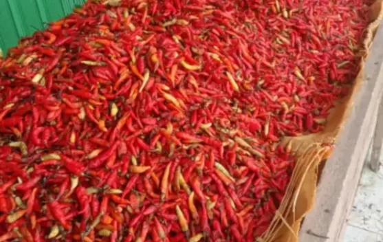 Harga cabai tembus Rp80 ribu jelang Ramadan