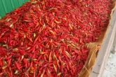 Harga cabai tembus Rp80 ribu jelang Ramadan